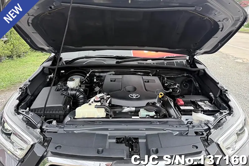 Toyota Hilux in Gray for Sale Image 13