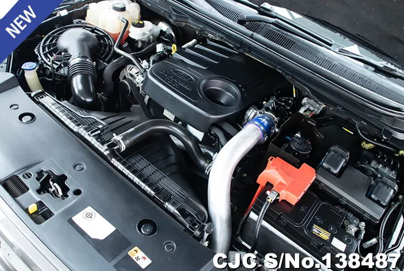 Ford Ranger in Black for Sale Image 13